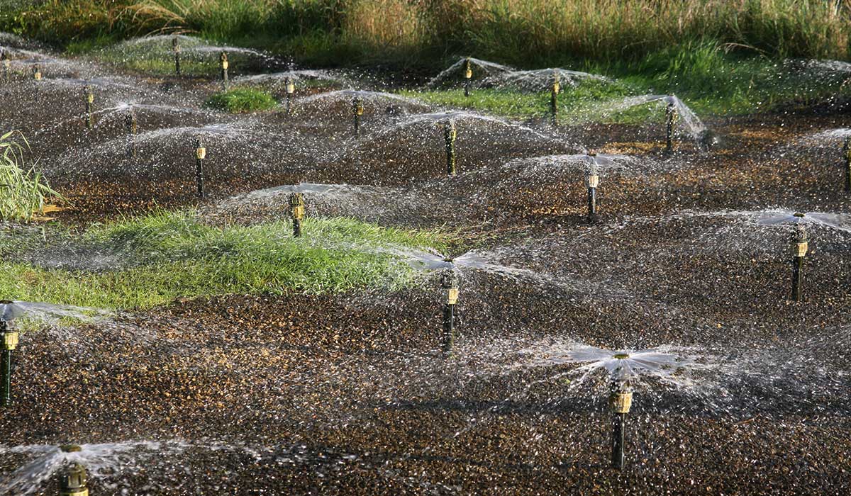 Freibad Badespaß Ebrach